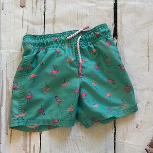 Teal Flamingo Print Kids Swim Shorts